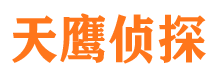 环翠侦探公司